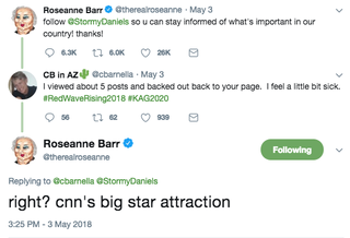 Illustration for article titled Let's Check in on This Stormy Daniels-Roseanne Barr Debate Over AnalÂ